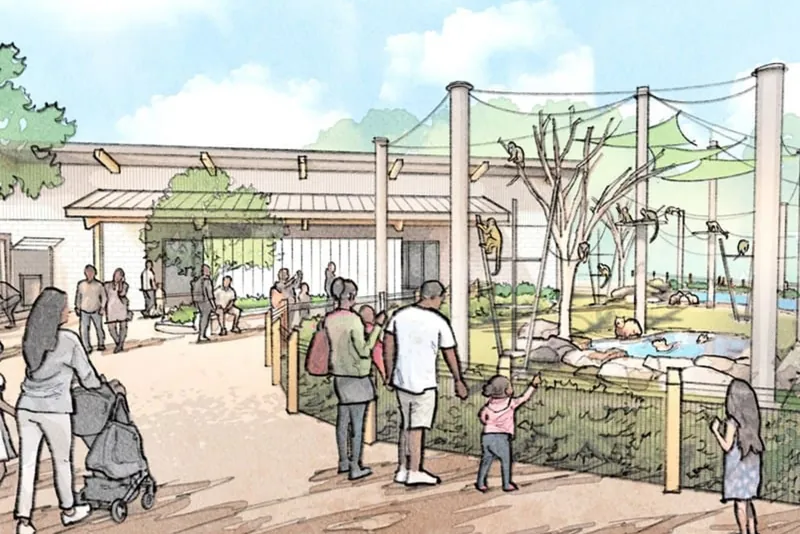 Rendering of the new shared capybara and squirrel monkey habitat with visitors on the approach path