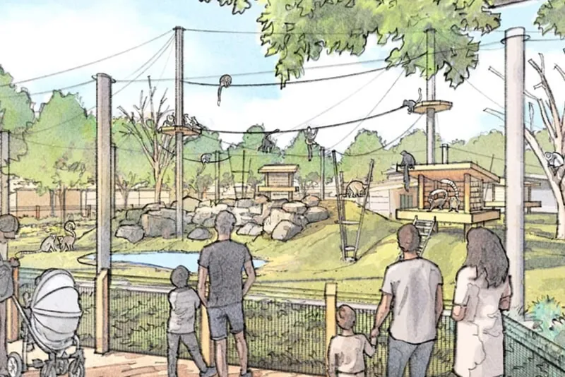 Architect's rendering of the Little Rock Zoo's redesigned lemur habitat, with visitors on a viewing path